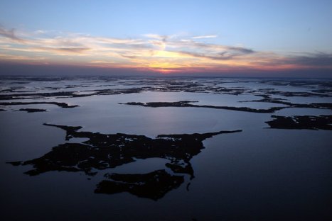 Louisiana Agency Sues Dozens of Energy Companies for Damage to Wetlands - NYTimes.com